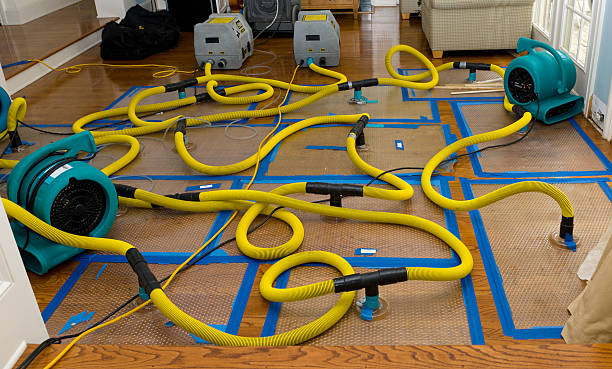 Professional Basement Flood Cleanup technician working in Columbus, GA